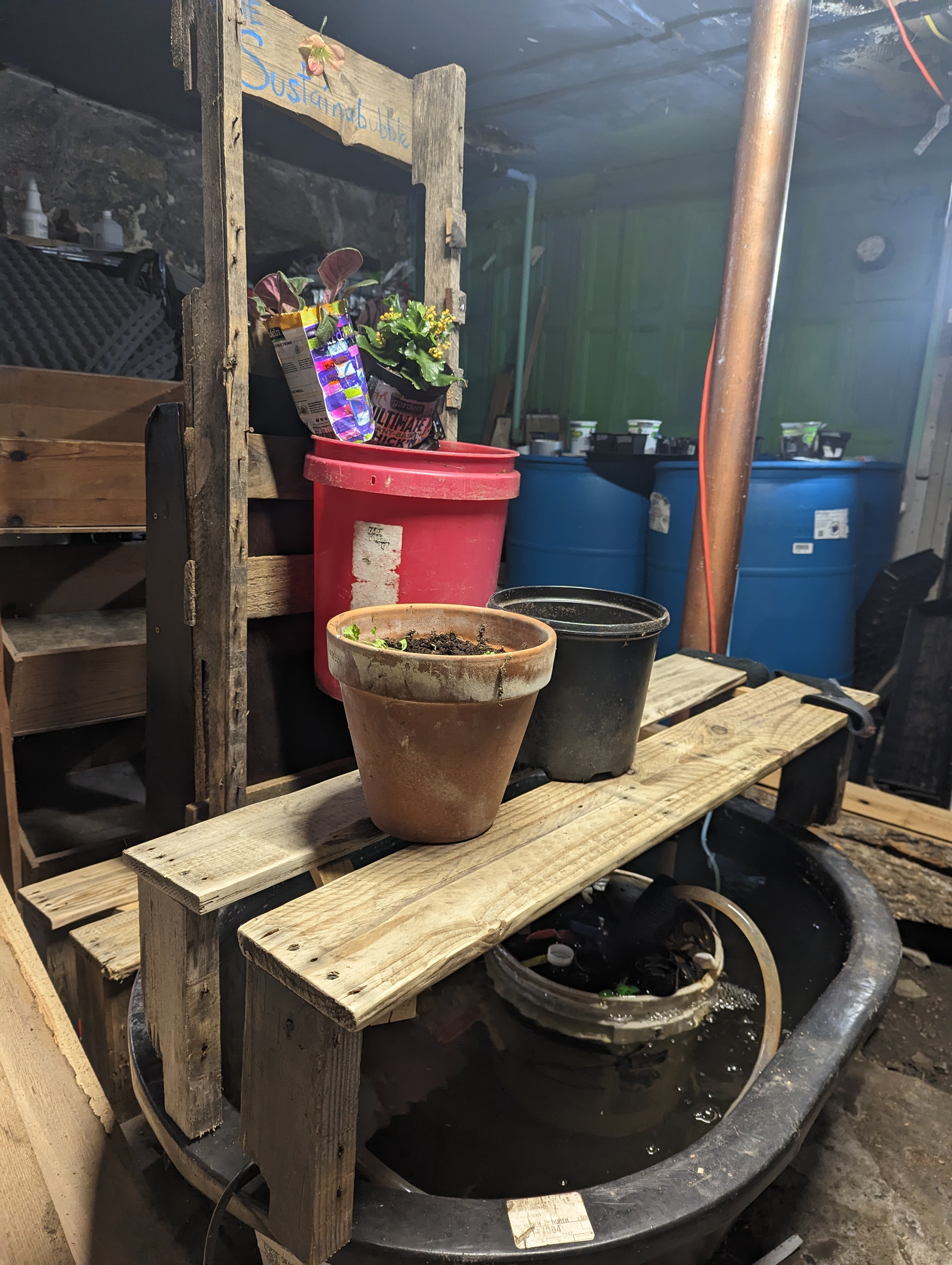 PXL_20230411_181843344