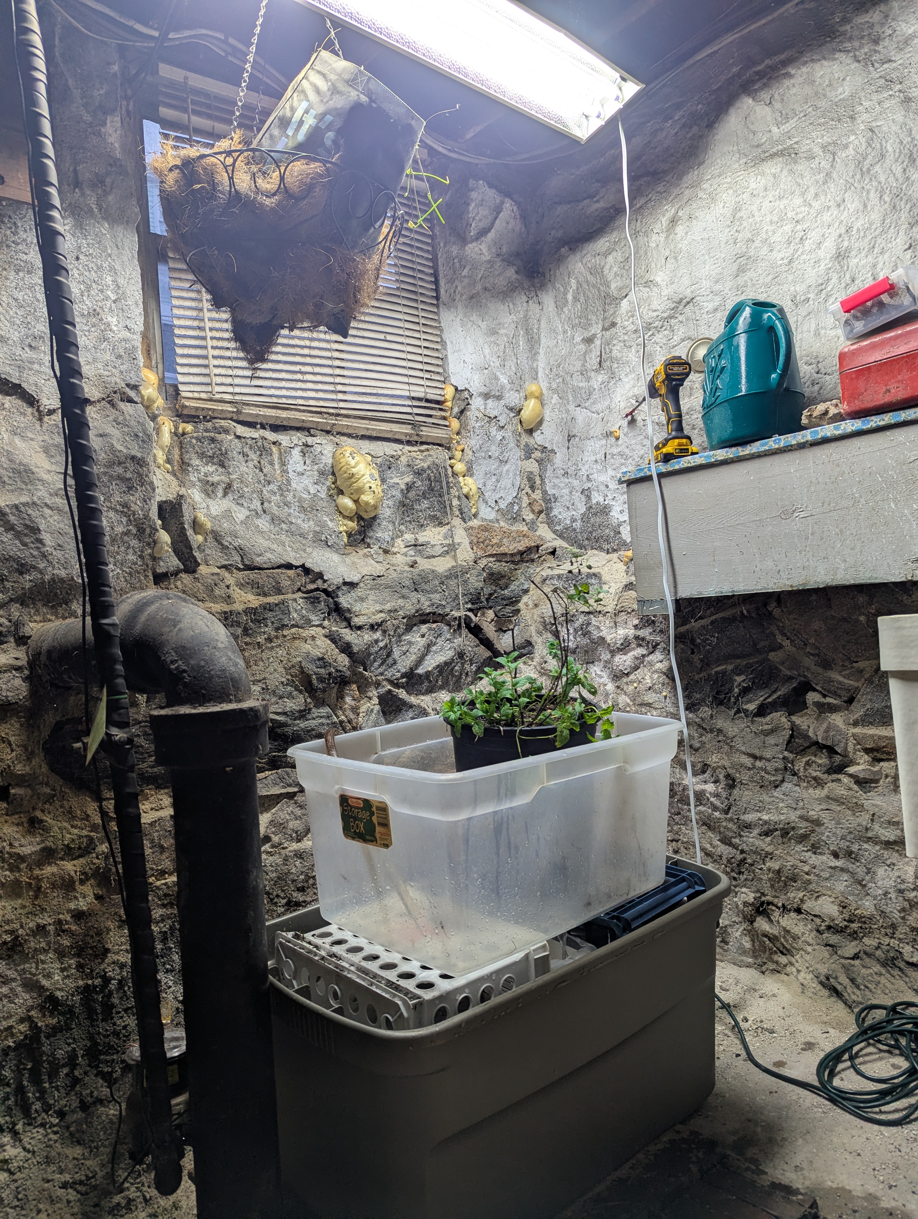 PXL_20251120_211949681