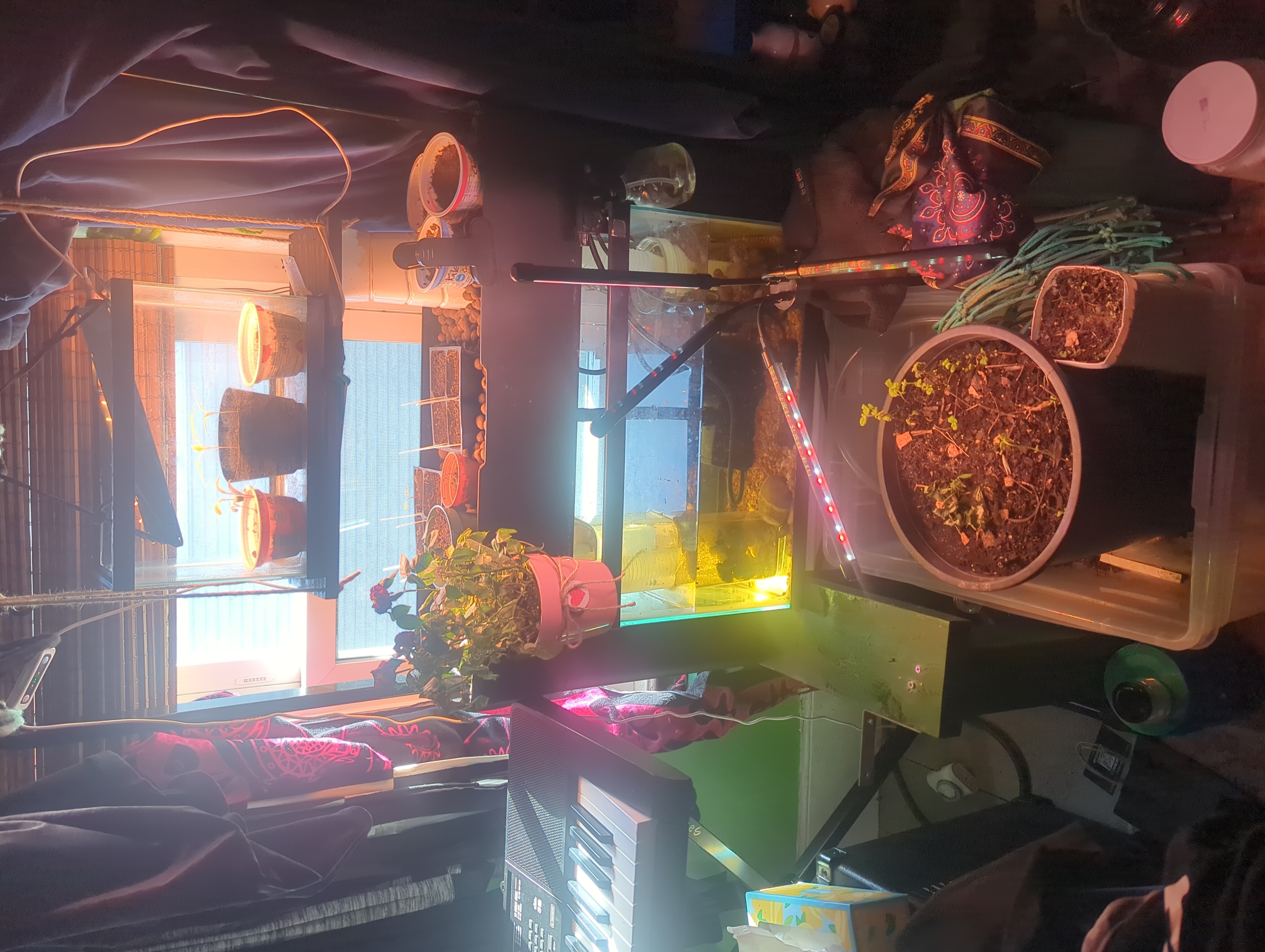 6778b4fa-3849-4f78-bf47-100d63f0dd9c (1)